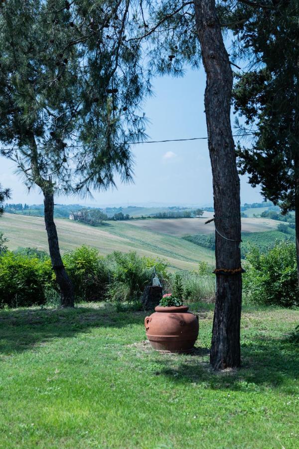 Casa Vacanze Cassero Camerata Picena Buitenkant foto